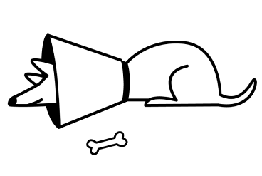 Proactive pet healthcare management